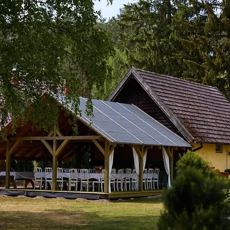 Zielonomi * Zielonowo