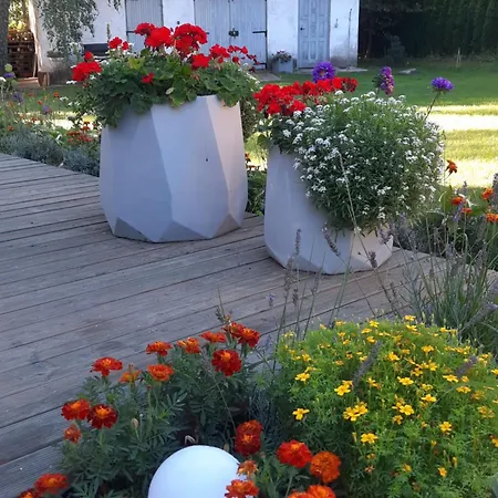 Zielonomi * Zielonowo