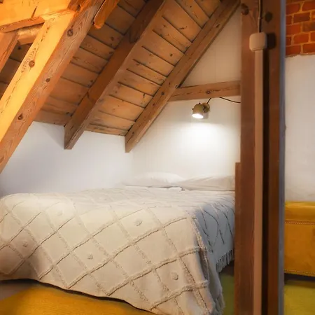Zielonomi-zielonowo 빌라 Zielonowo