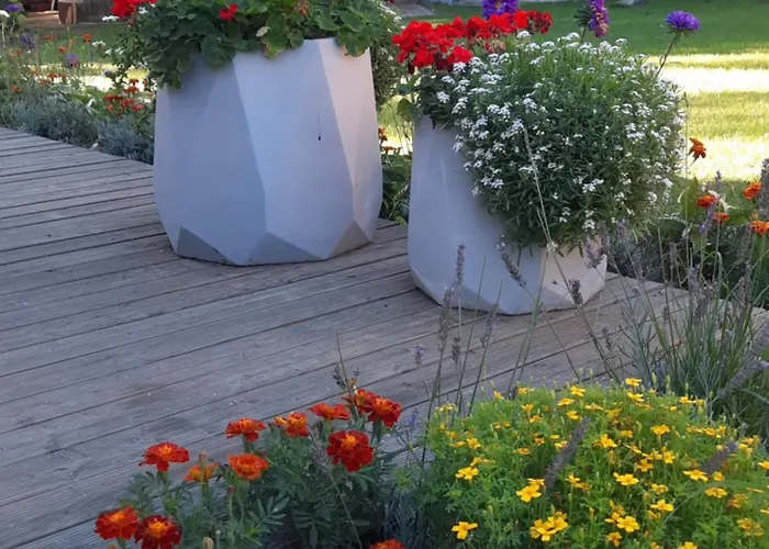 Zielonomi * Zielonowo