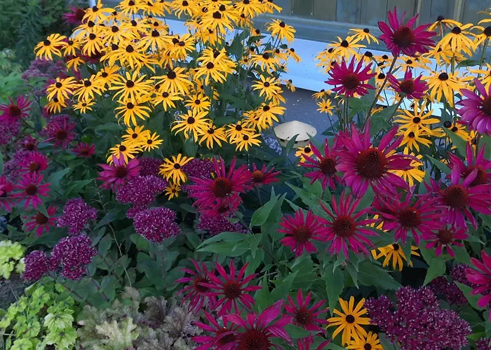 Zielonomi Vila Zielonowo