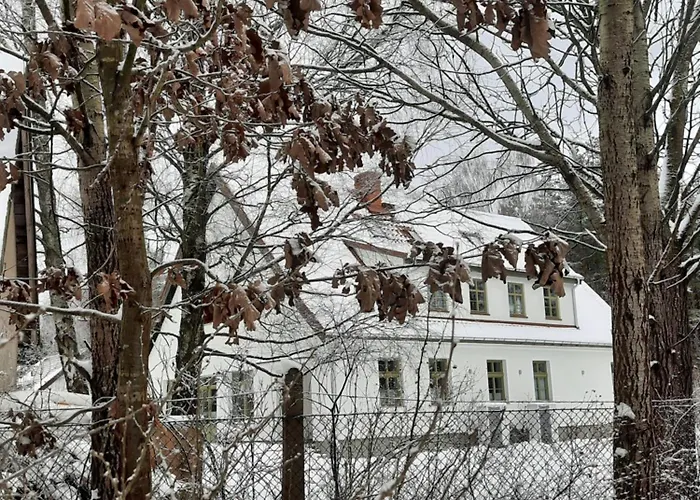 Zielonomi * Zielonowo